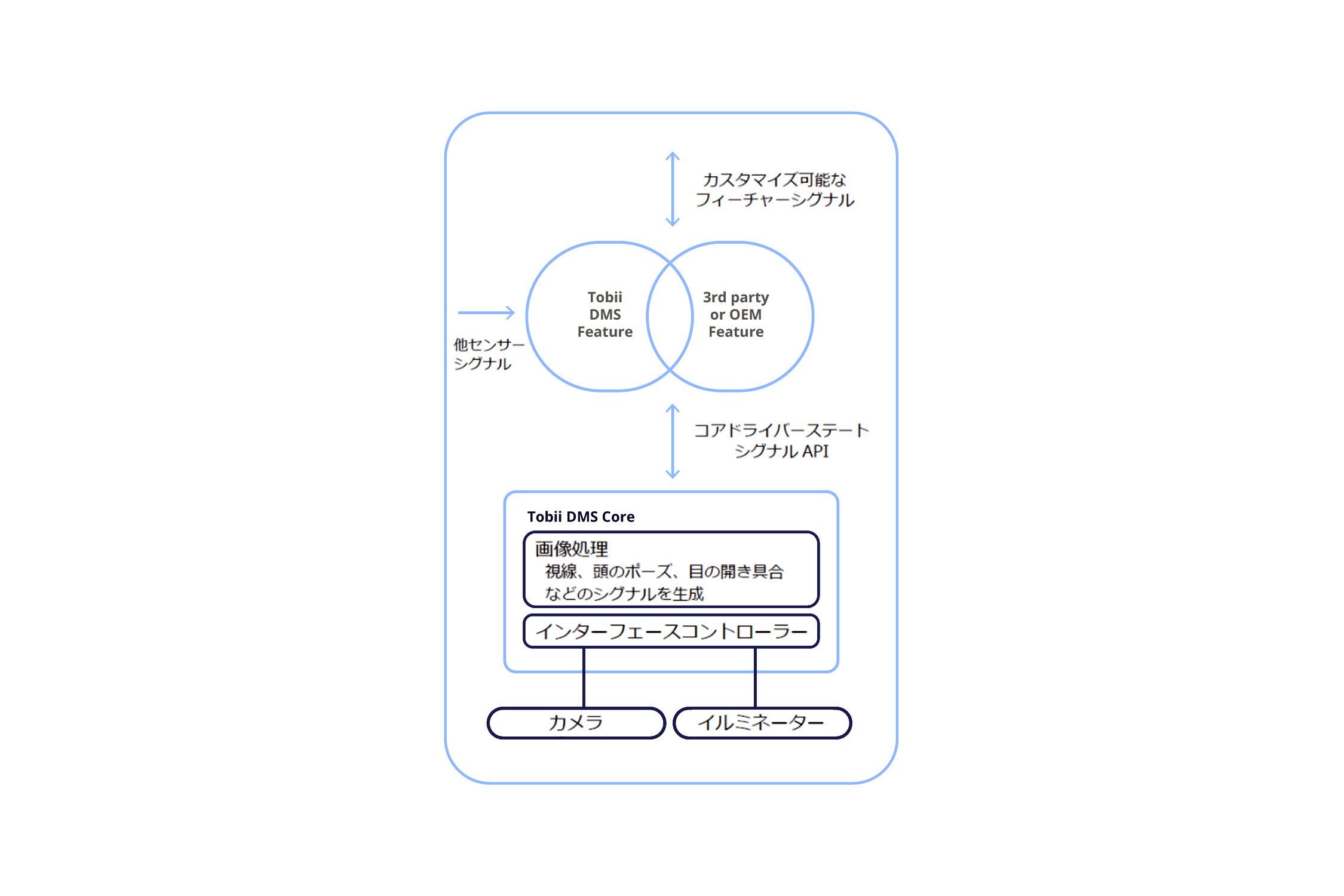 Tobii DMS image processing JP