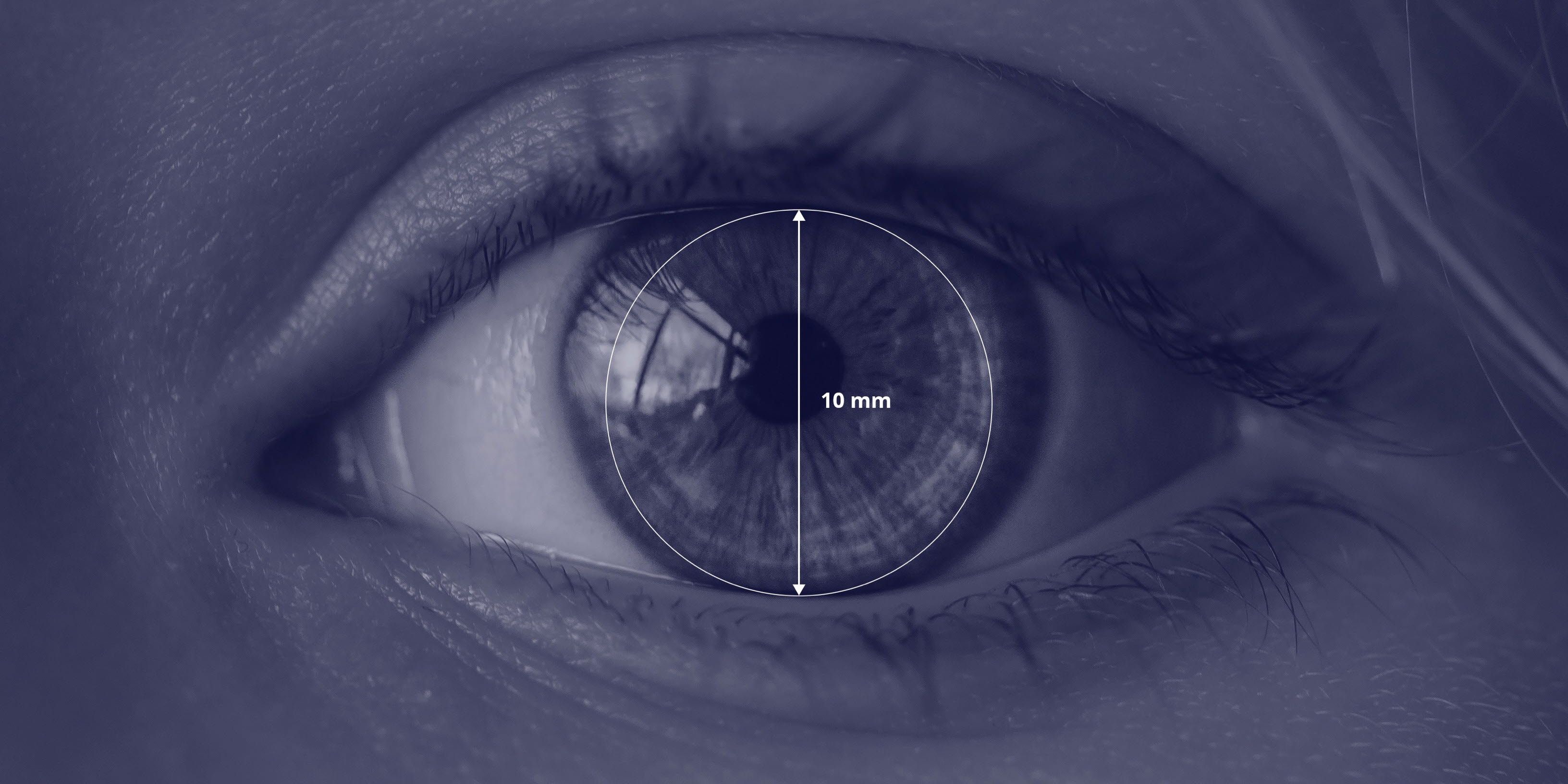 Tobii Pro Lab eye openness