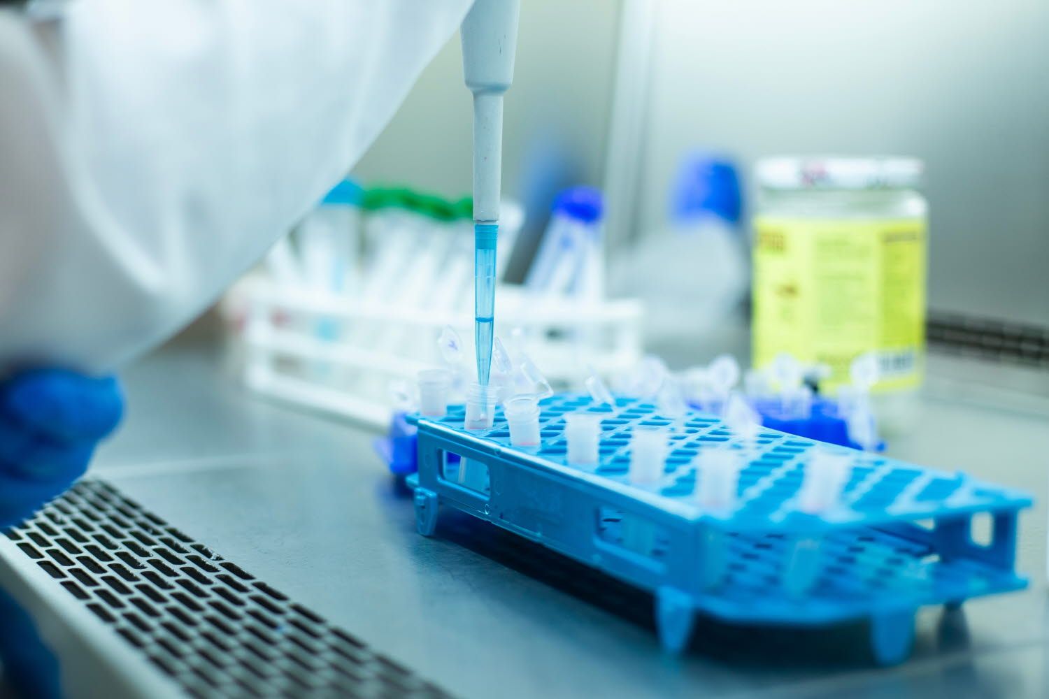 Cell culture experiments in a cell culture room in a safety cabinet