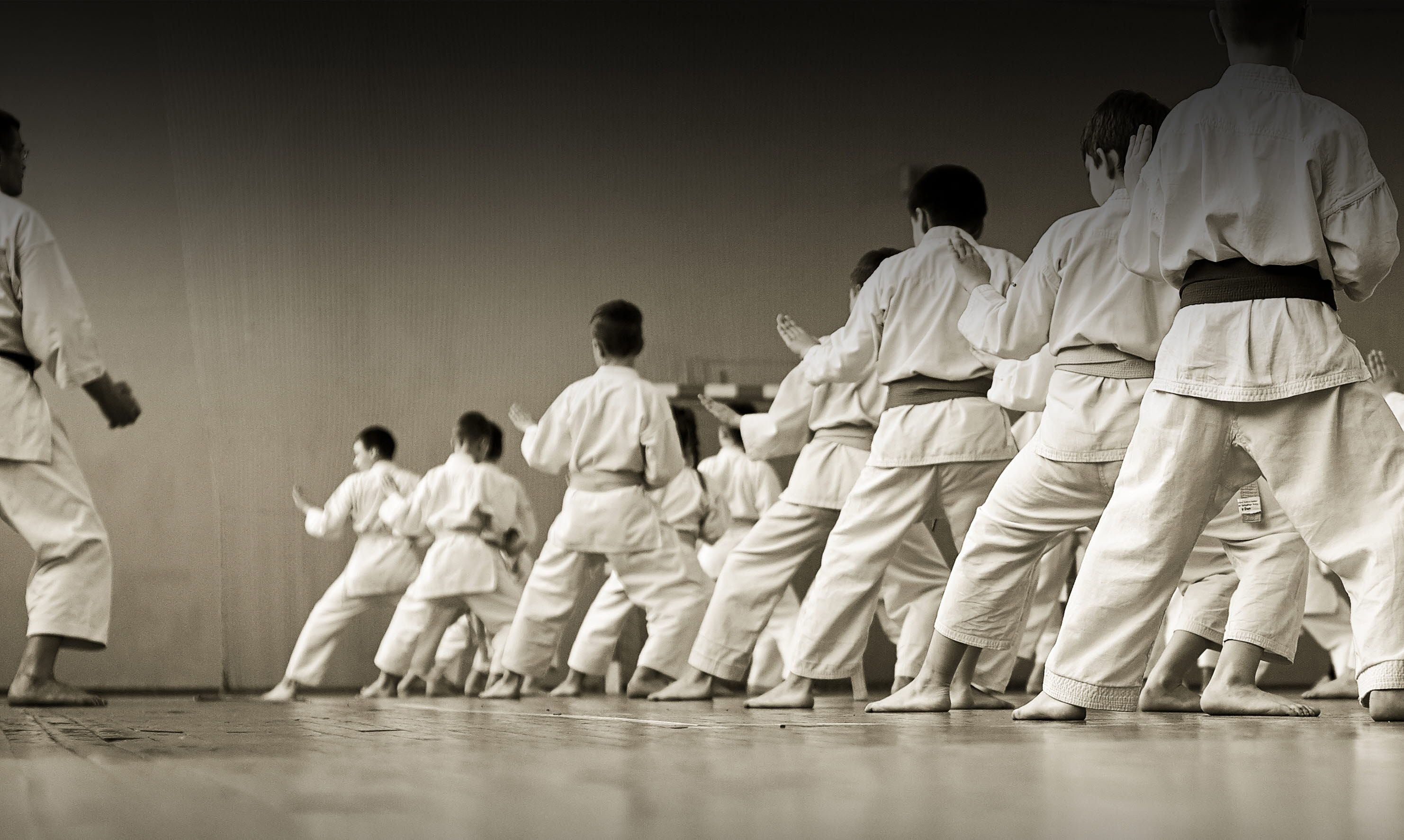 Training Karate athletes