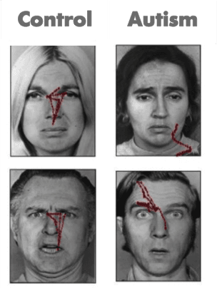 Visual scanning of faces in autism. Journal of autism and developmental disorders
