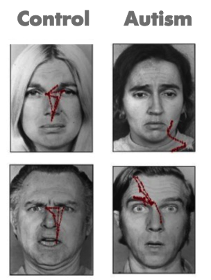 Visual scanning of faces in autism. Journal of autism and developmental disorders
