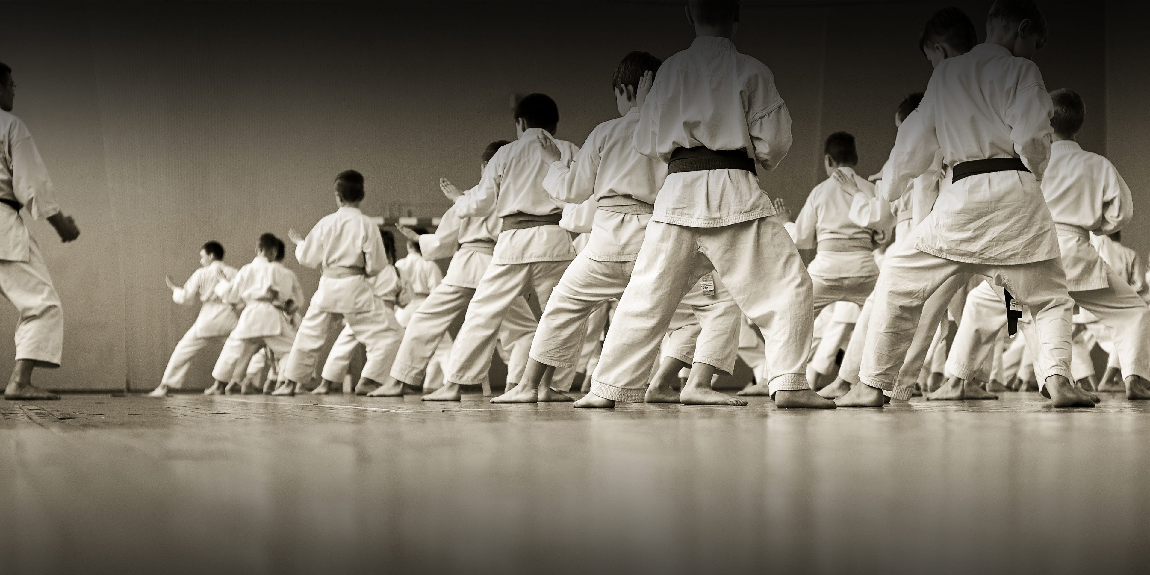 Training Karate athletes