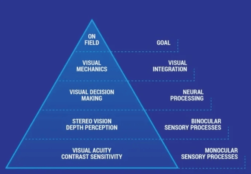 Illustration of pyramid showing the connection between vision and motor action