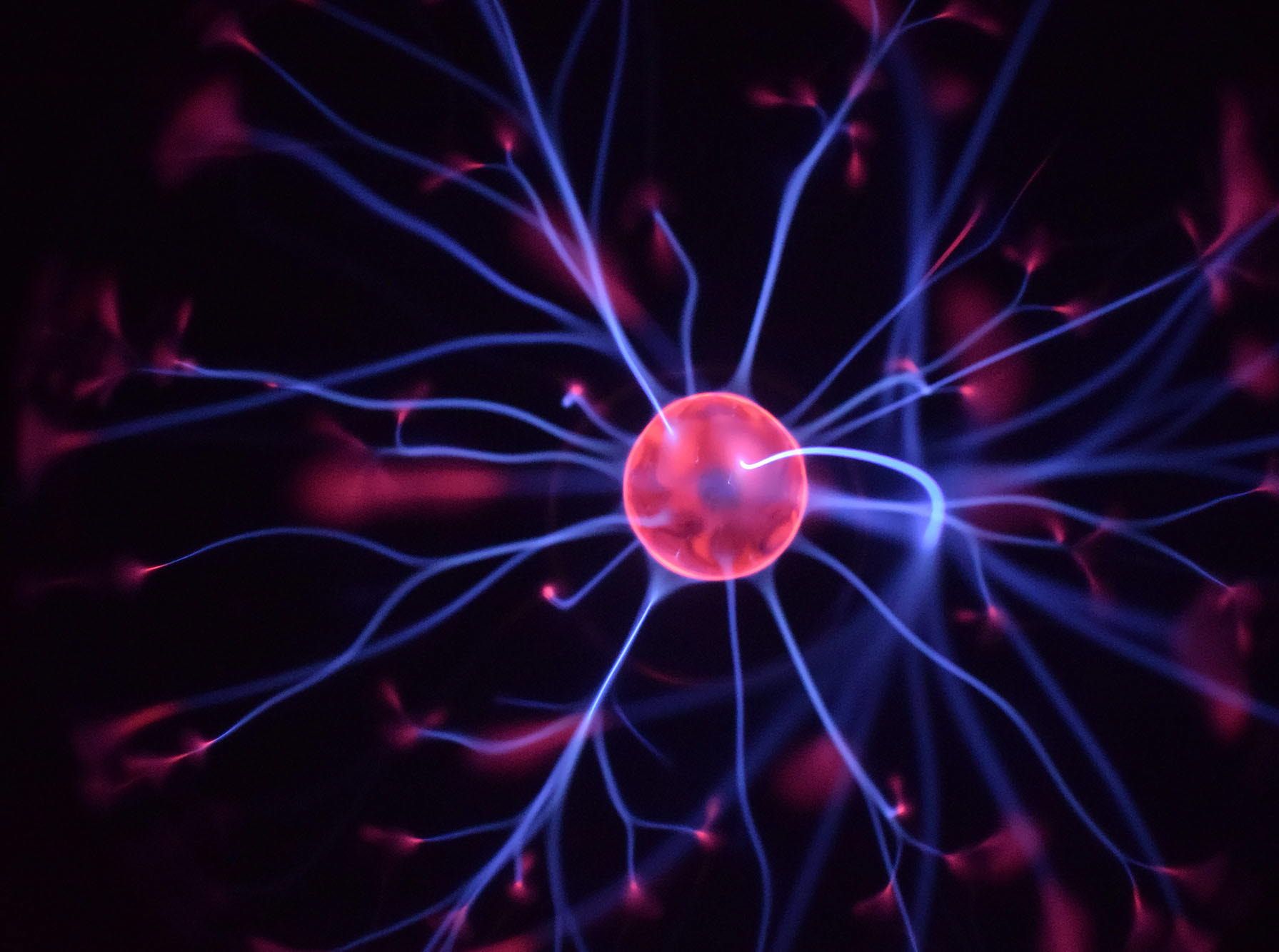 Neuroscience
