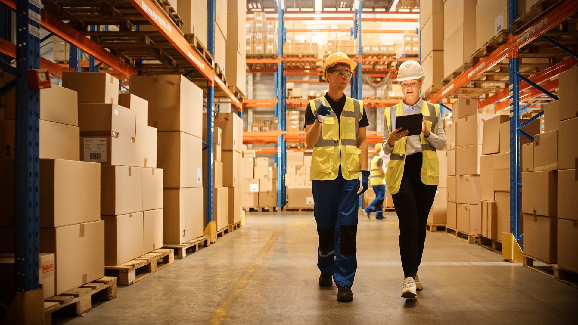 Warehouse - logistics