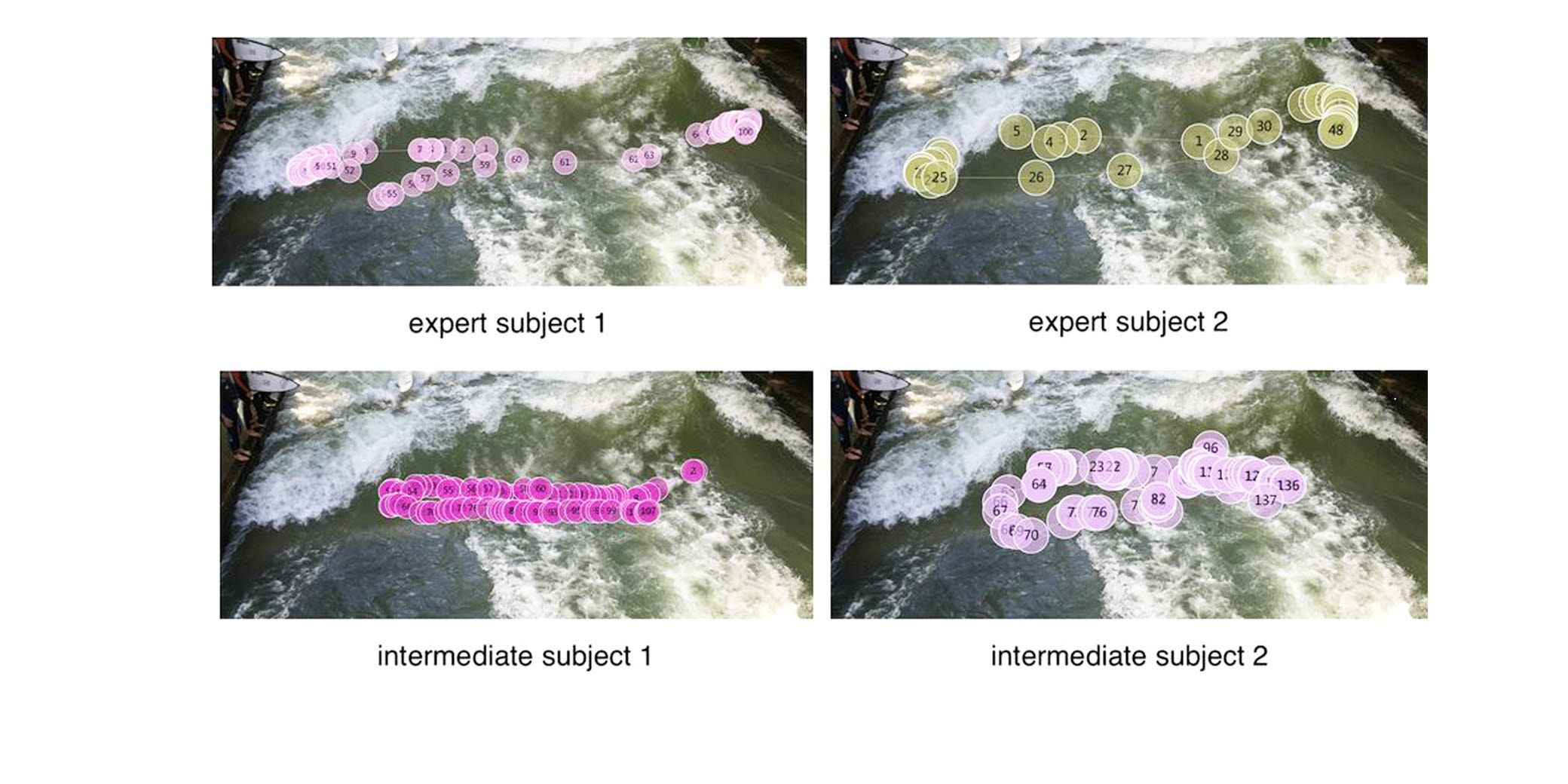 Gazeplots visualizing gaze behaviors of expert versus novice surfers.