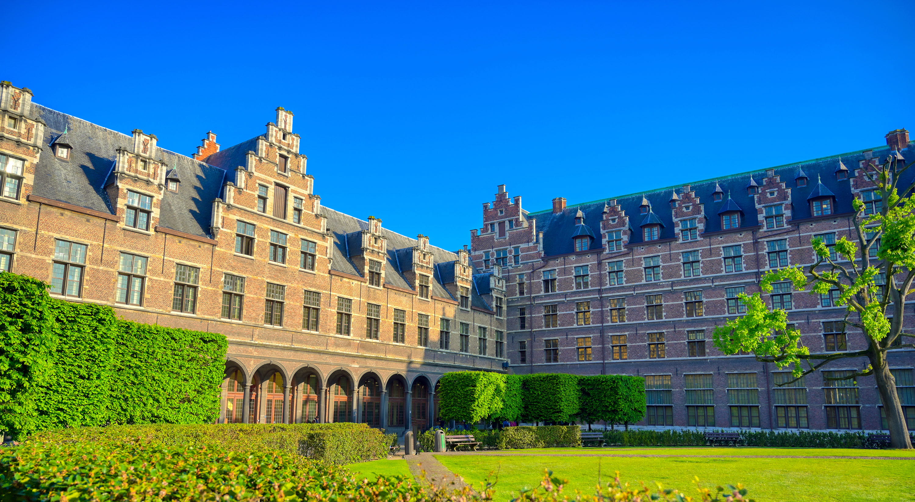 The University of Antwerp