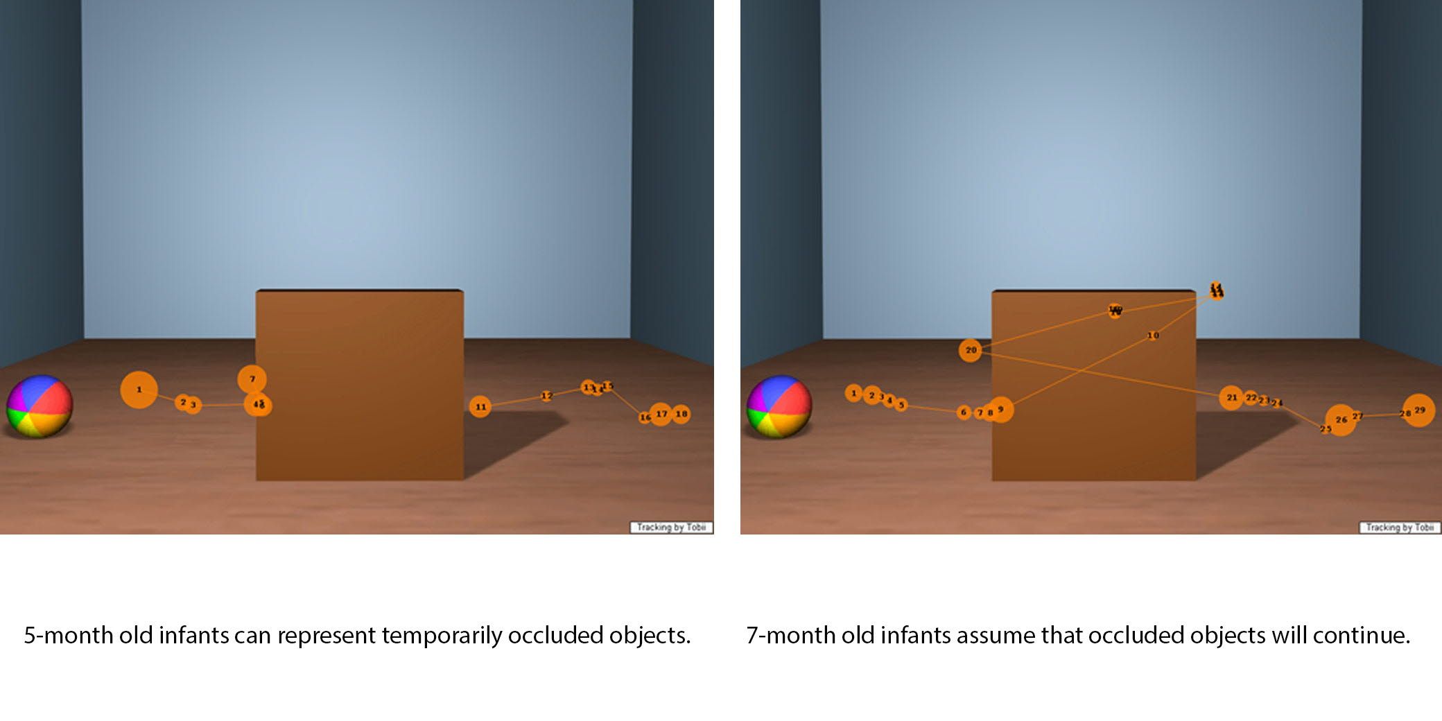 Gaze plots representing expectations from 5 and 7 months infants on appearing occluded objects.
