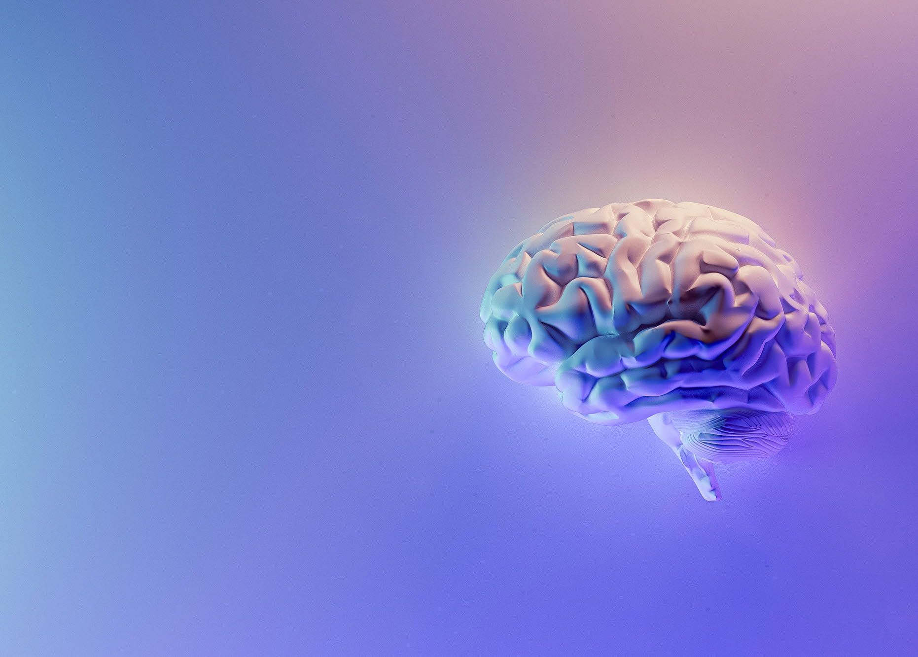 image of a brain